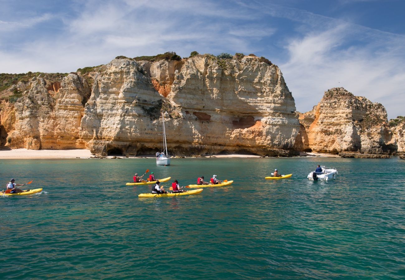 Kayak tour