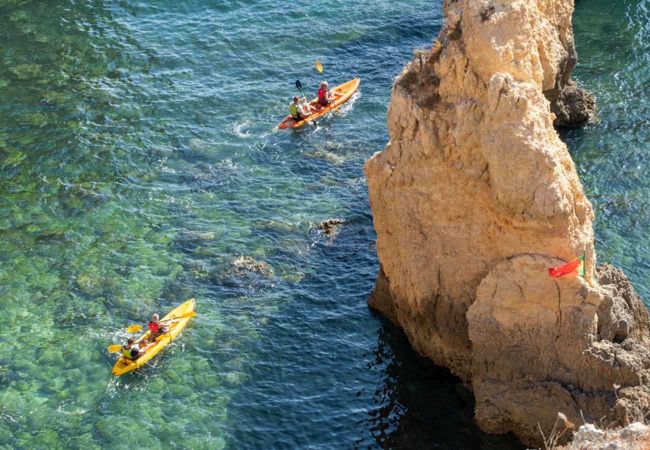 Kayak tour