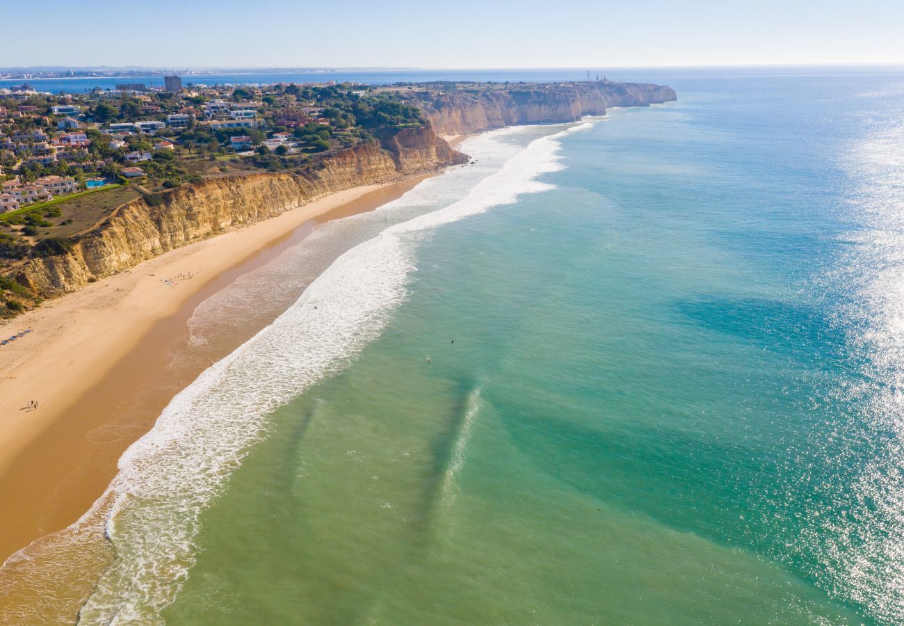 Aerial view of the coastline