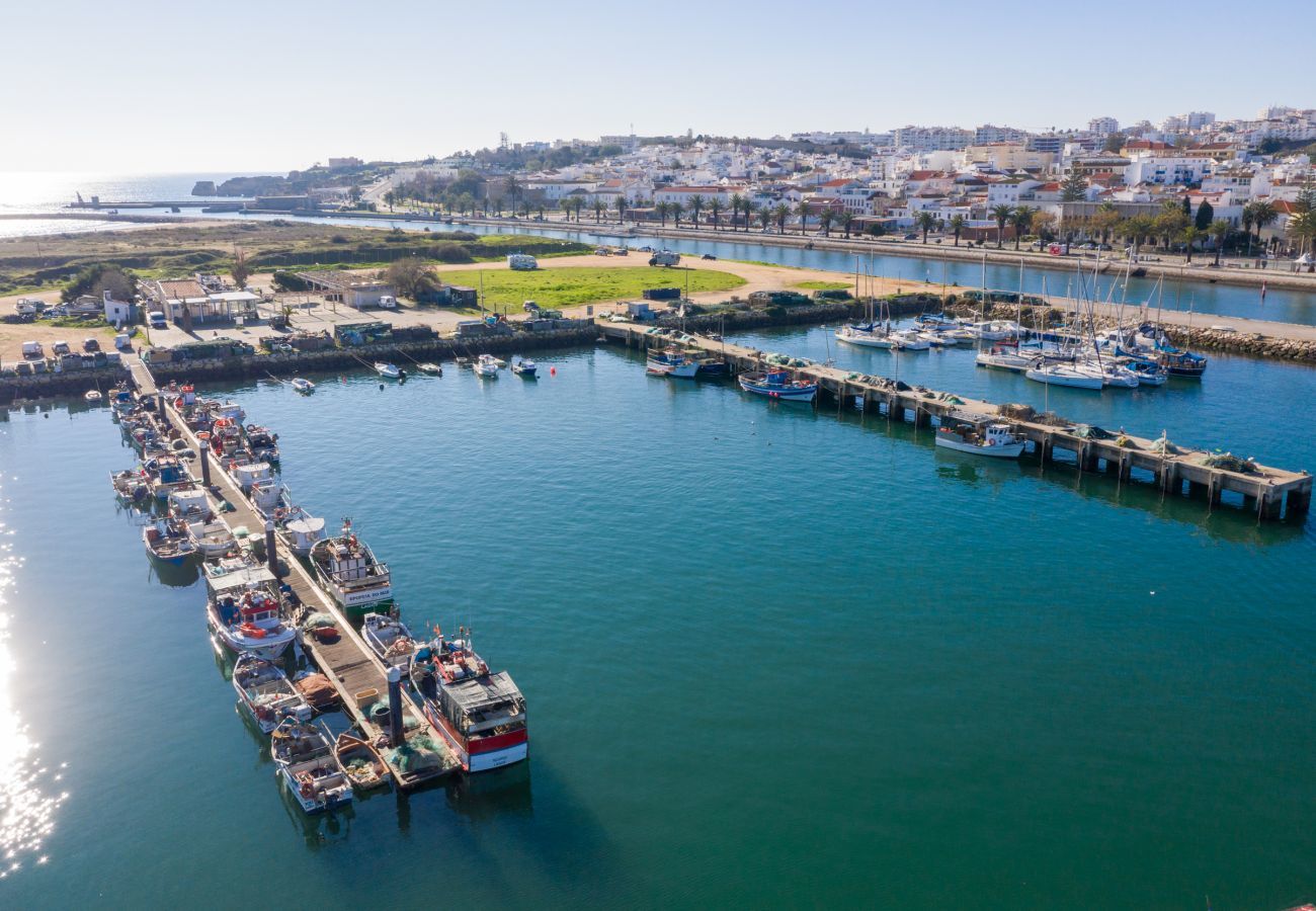 Aerial view of the Marina