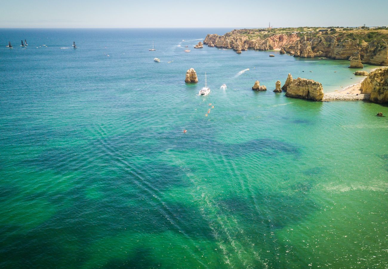 Aerial view of the coastline