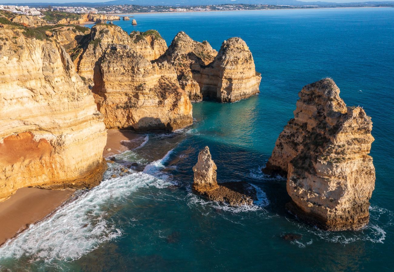 Aerial view of the cliffs