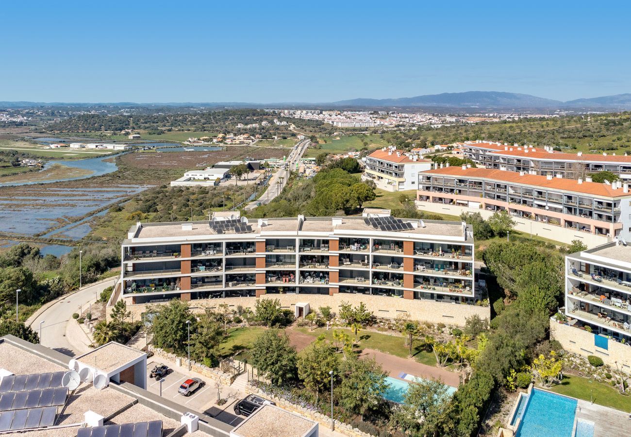 Aerial view of the condominium