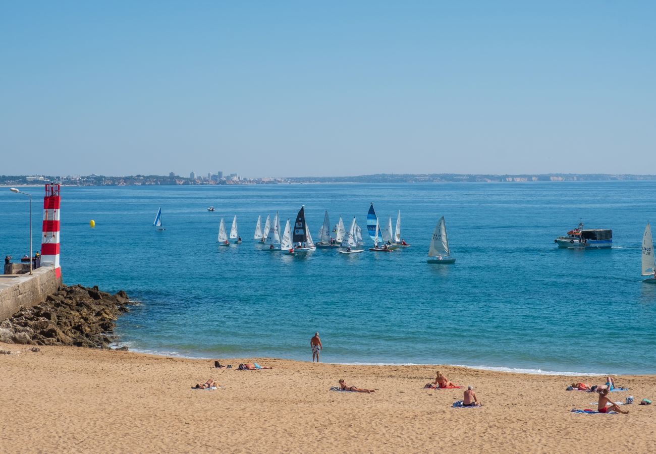 View of the beach and sailing boats