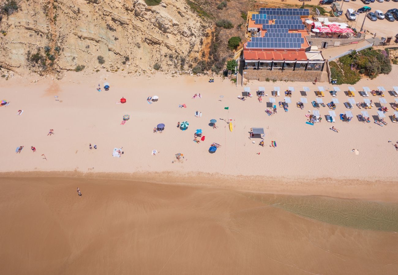 Aerial view of the beach