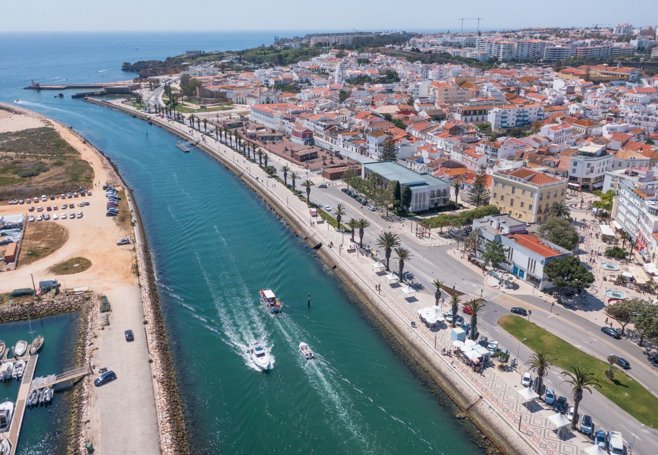 Aerial view of the river