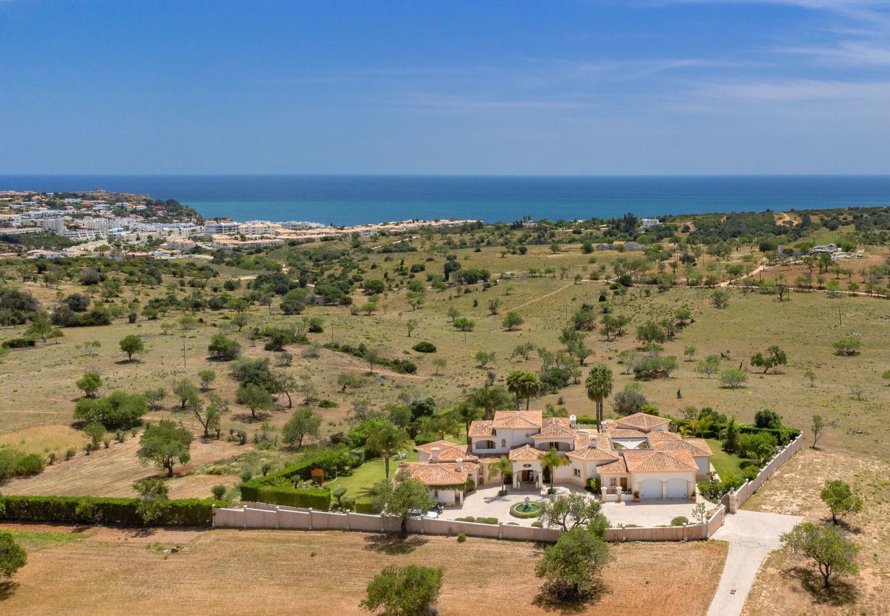 Aerial view of the property