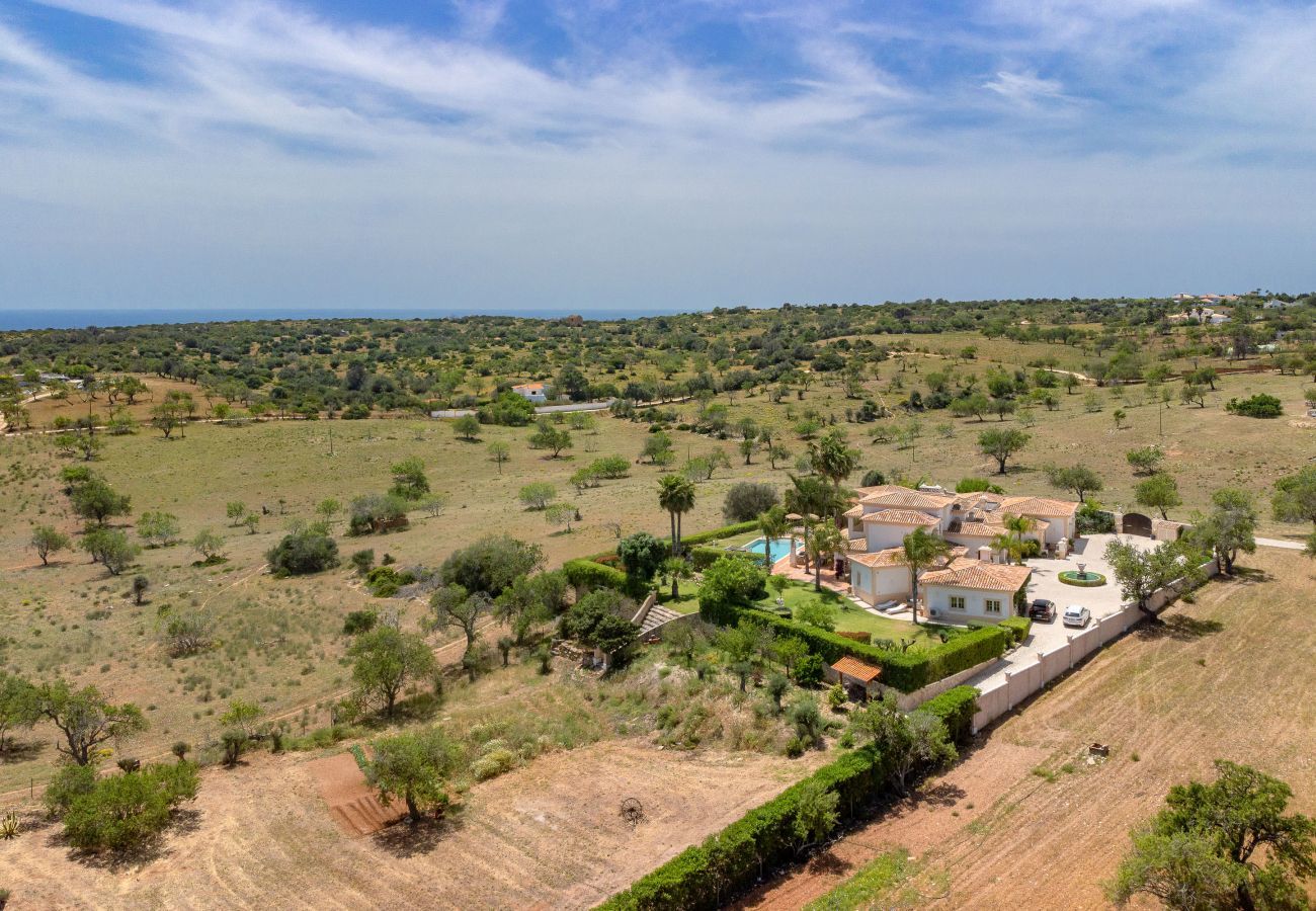 Aerial view of the property
