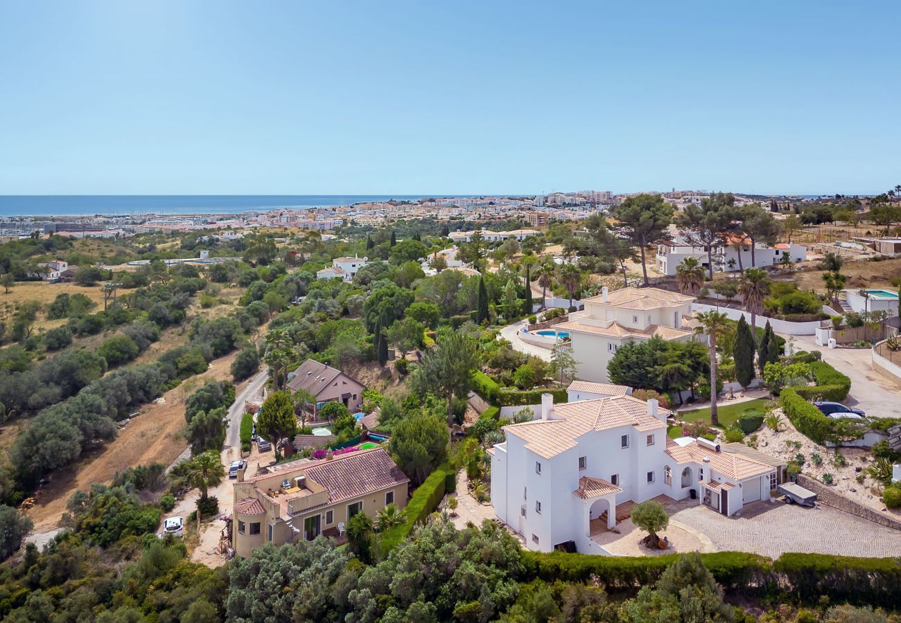 Aerial view of the villa and surroundings