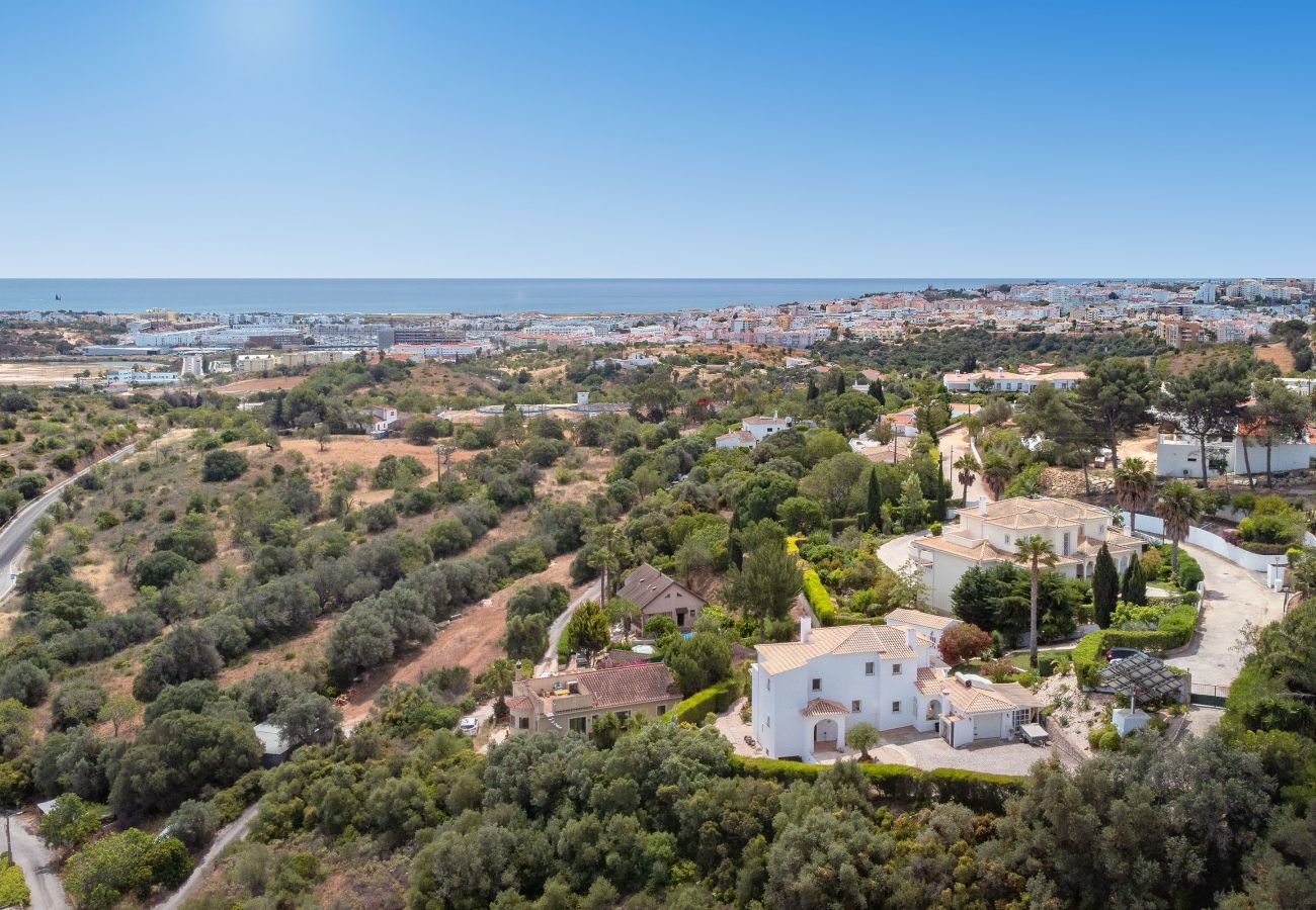 Aerial view of the villa and surroundings