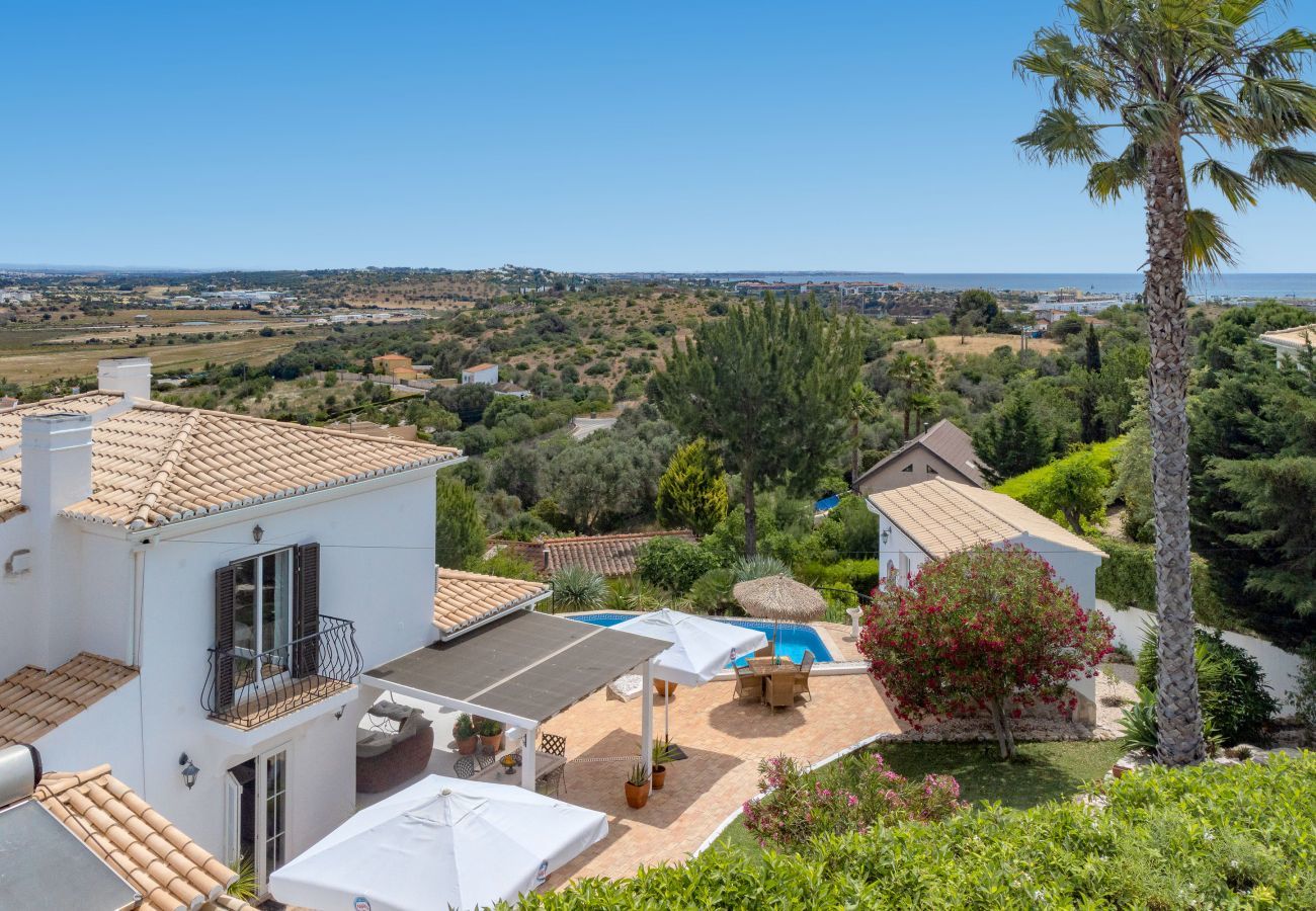 Villa and surroundings