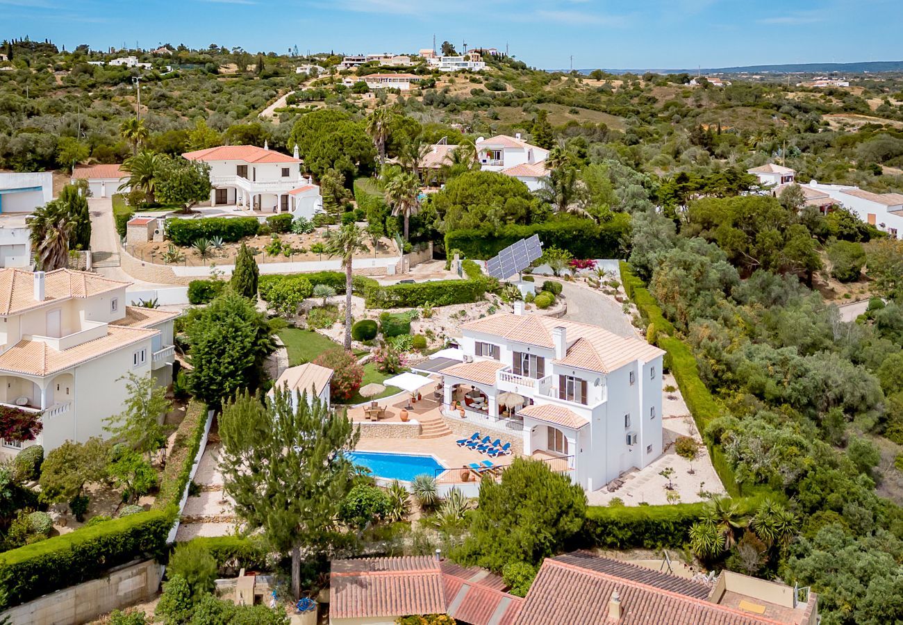 Aerial view of the villa