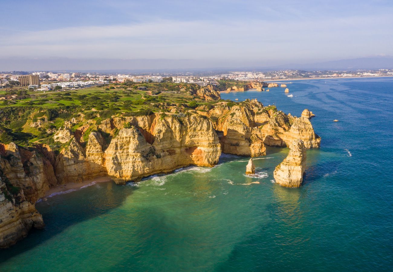 Aerial view of the cliffs