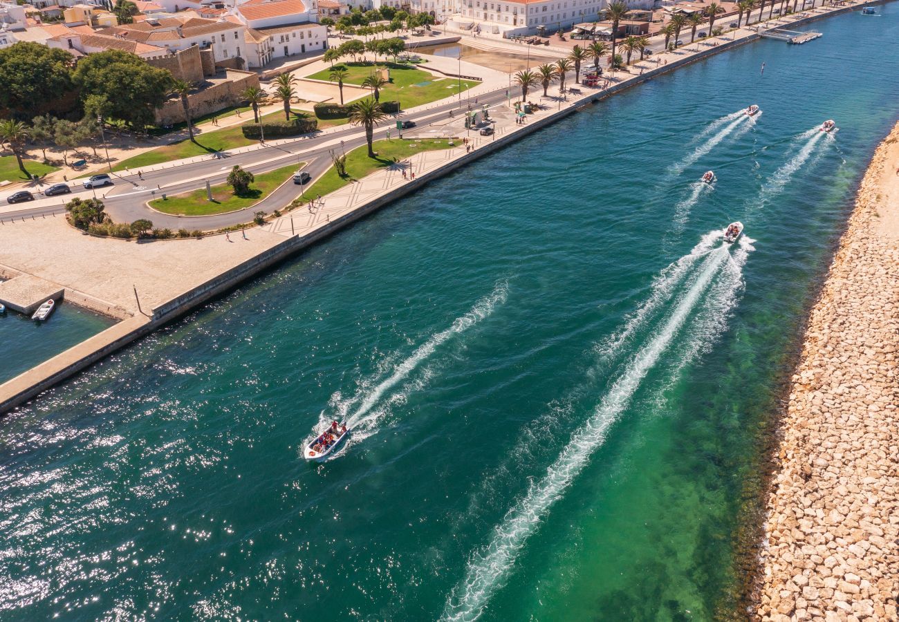 Aerial view of the river