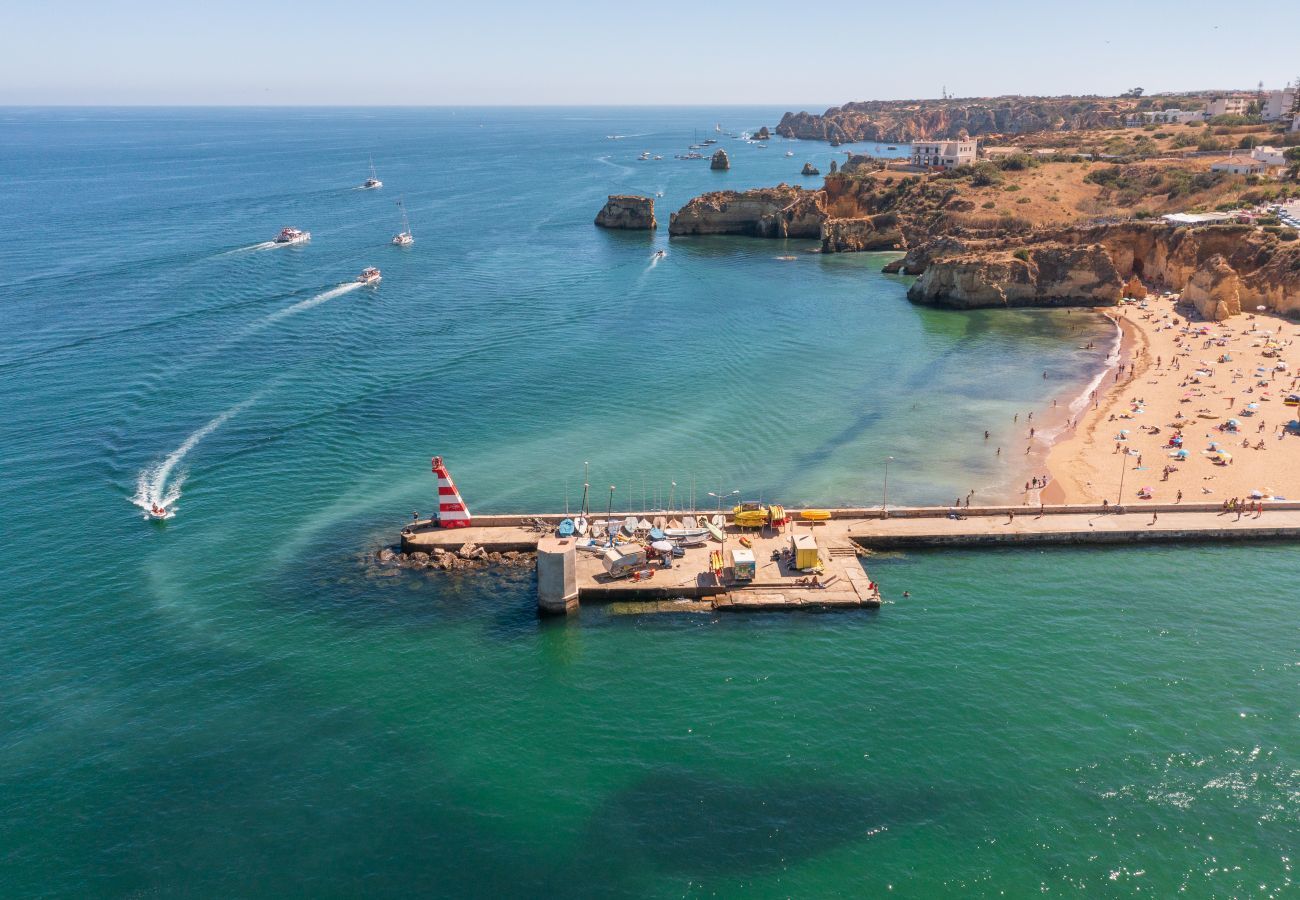 Aerial view of Praia da Batata and the sea