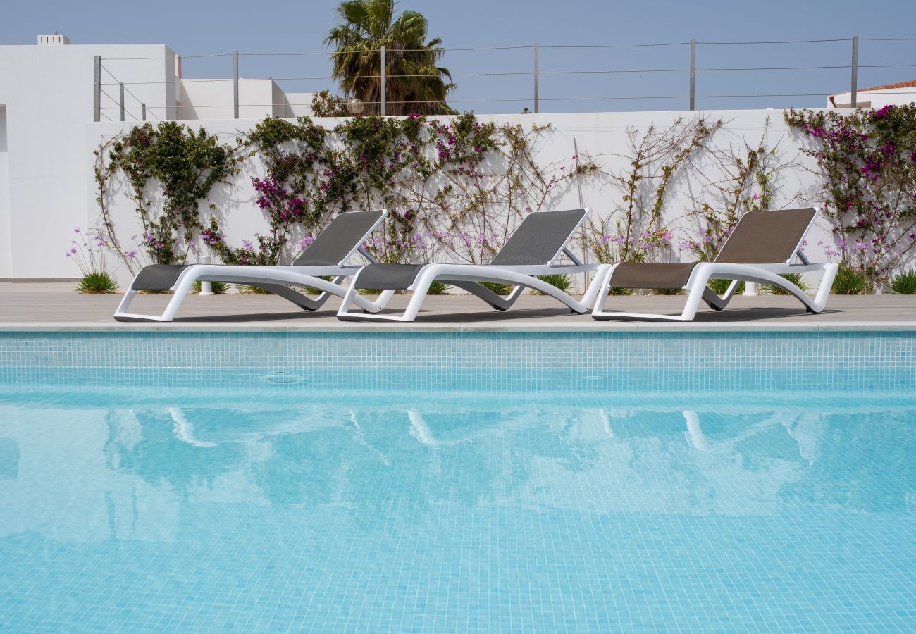 Swimming pool and sun loungers